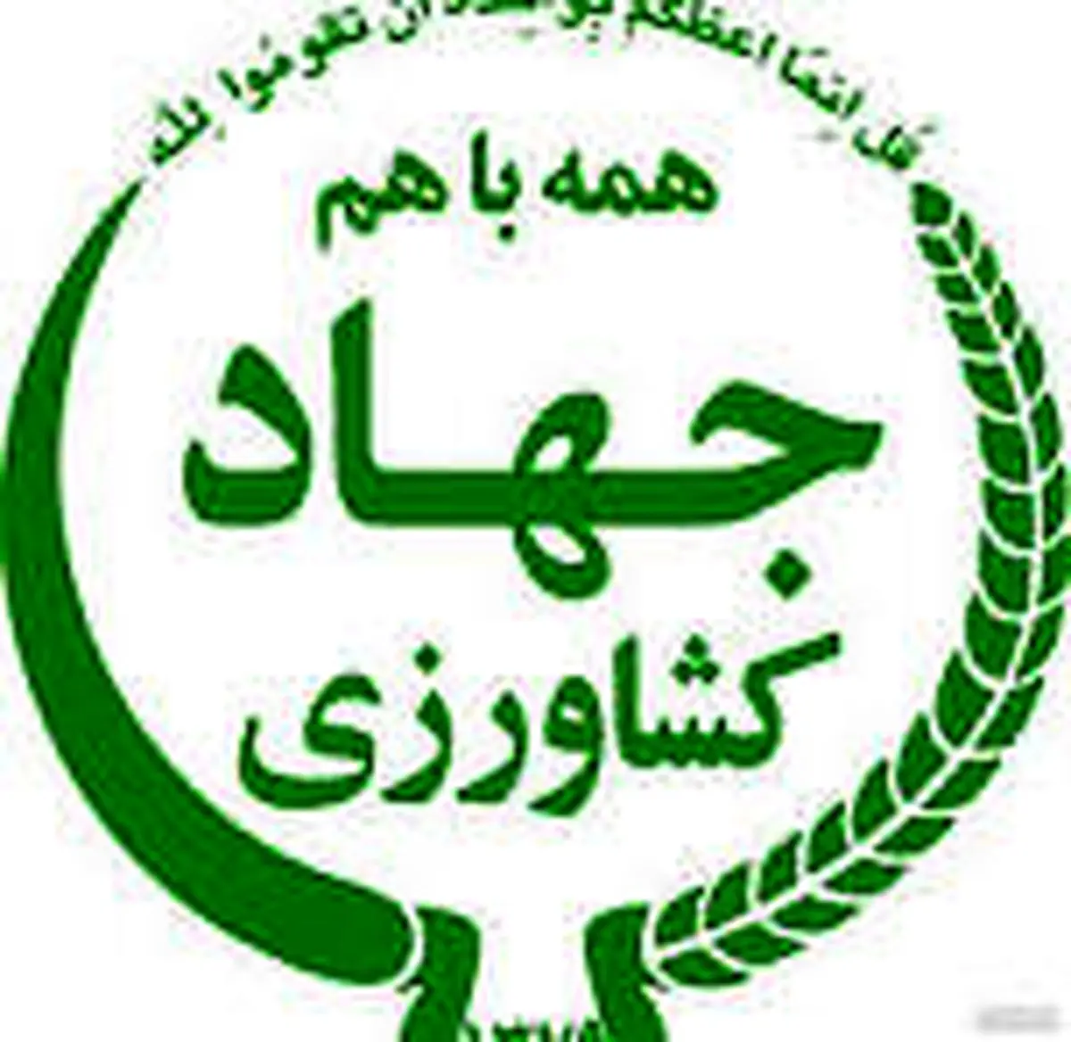 هفت ماه معطلی برای ارزی که باید چند هفته‌ای پرداخت شود!