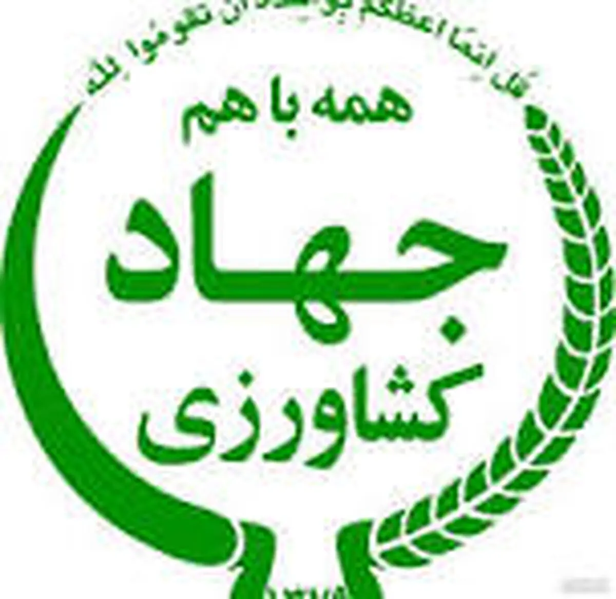 هفت ماه معطلی برای ارزی که باید چند هفته‌ای پرداخت شود!