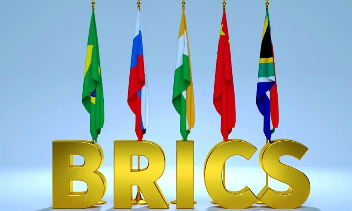 BRICS paid attention to political and geopolitical aspects of countries in adding new members: Expert

