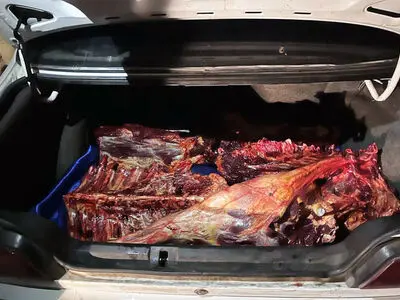 اسب‌کُش‌ها در قزوین دستگیر شدند
