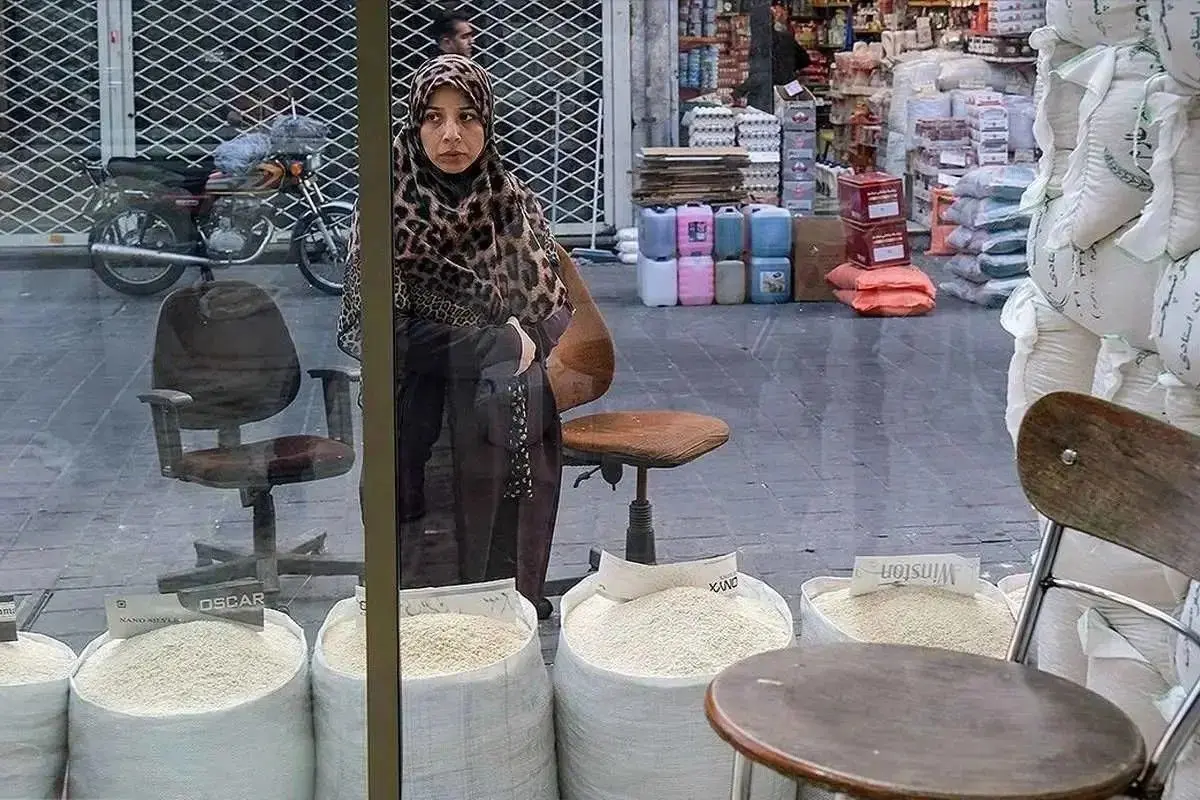 عرضه برنج ایرانی کاهش یافت/ نرخ برنج پاکستانی سه برابر شد