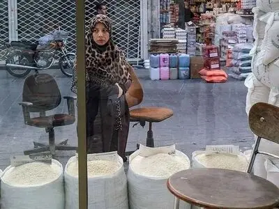 عرضه برنج ایرانی کاهش یافت/ نرخ برنج پاکستانی سه برابر شد