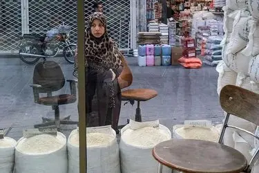 عرضه برنج ایرانی کاهش یافت/ نرخ برنج پاکستانی سه برابر شد