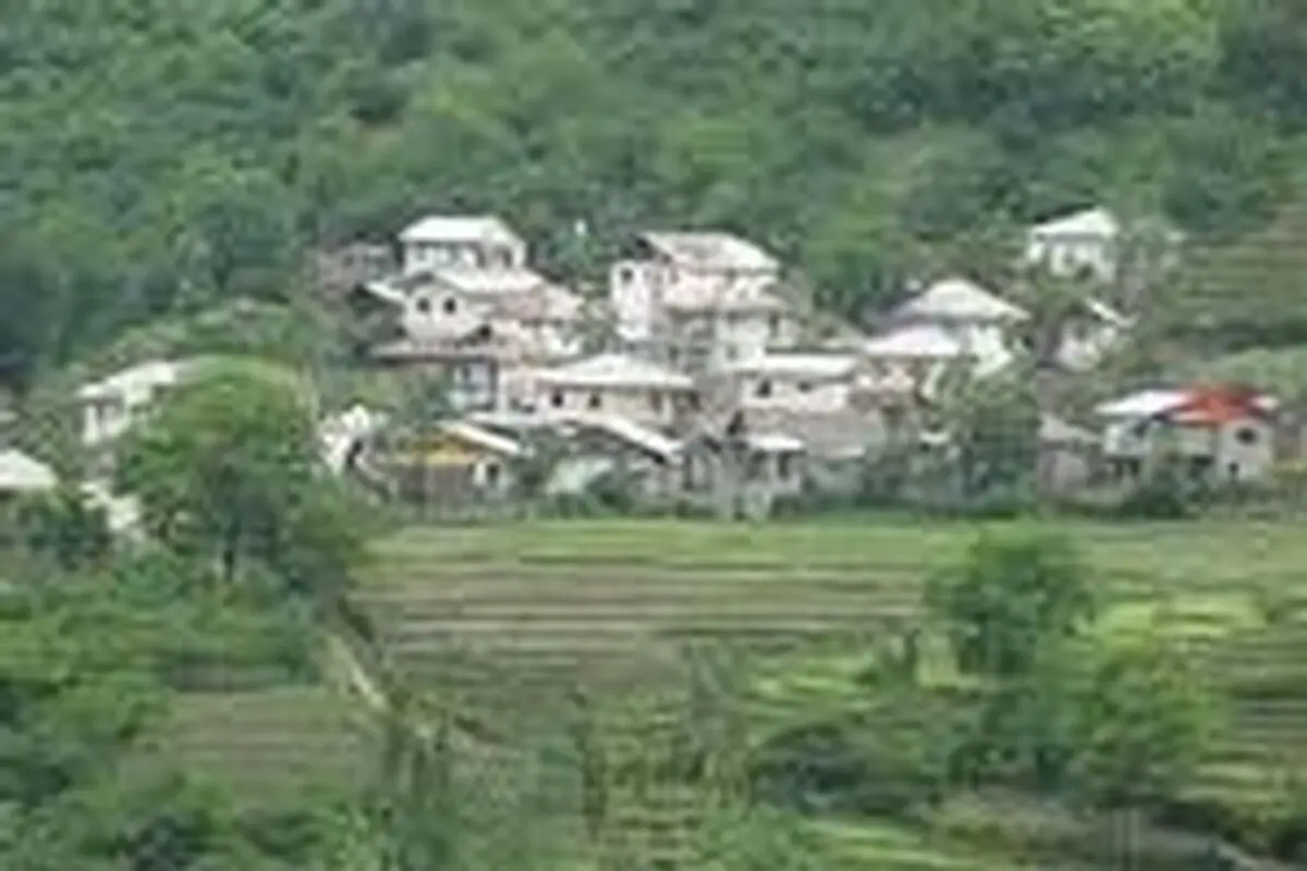 تغییر کاربری اراضی کشاورزی تهدید جدی در گیلان