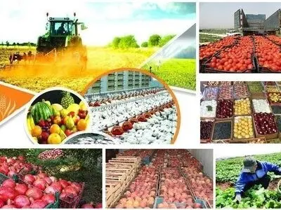 توجه به همبستگی آب، انرژی، غذا و محیط‌زیست یک ضرورت مهم است