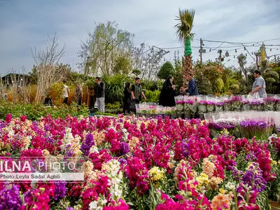 رد پای بهار در بازار گل شهید محلاتی