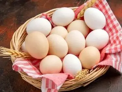 خوردن روزی چند تخم‌مرغ بدون اشکال است؟