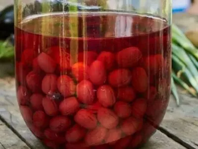 طرز تهیه ترشی زغال اخته به ۲ روش