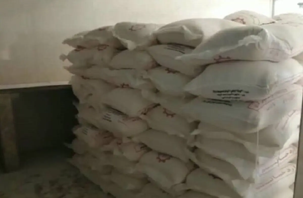 کشف انبار آرد دولتی قاچاق در بندرعباس