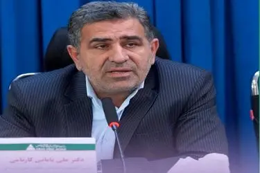 مجلس پیگیر بازگشت مزیت‌های اقتصادی به مناطق آزاد است