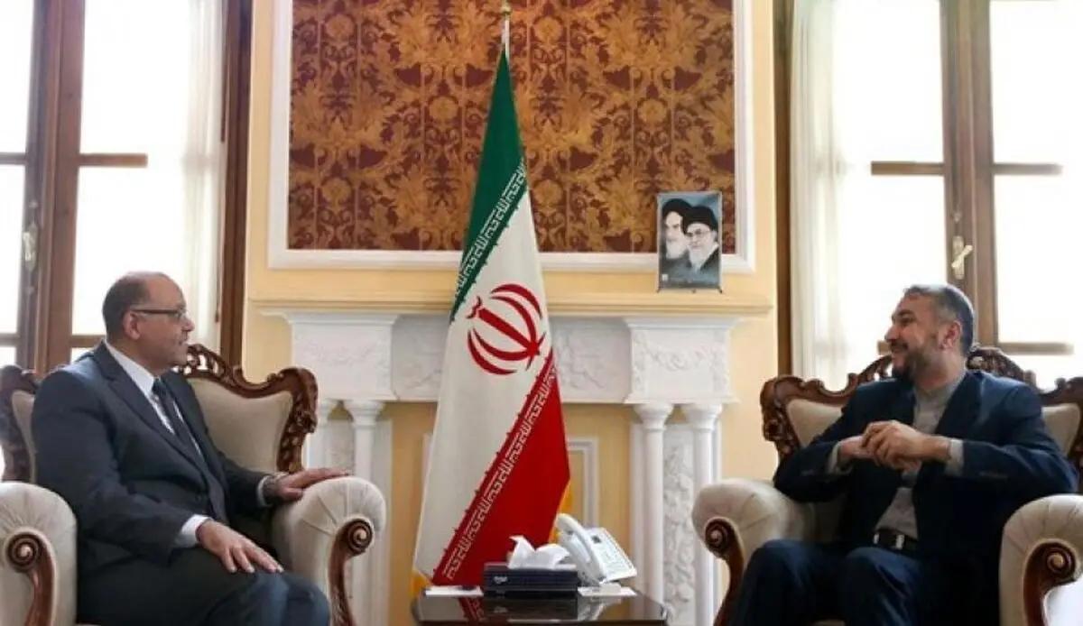 عبداللهیان: التعاون البرلمانی یلعب دورا مهما فی علاقات ایران ومصر
