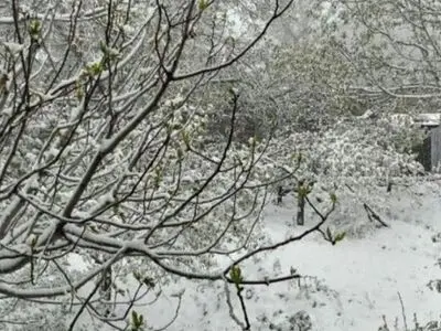 هشدار قرمز هواشناسی درباره کاهش ۱۲ تا ۱۵ درجه‌ای دما در شمال غرب کشور