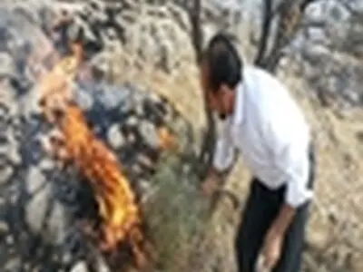 آتش‌سوزی‌های اخیر جنگل‌ها در بویراحمد عمدی است