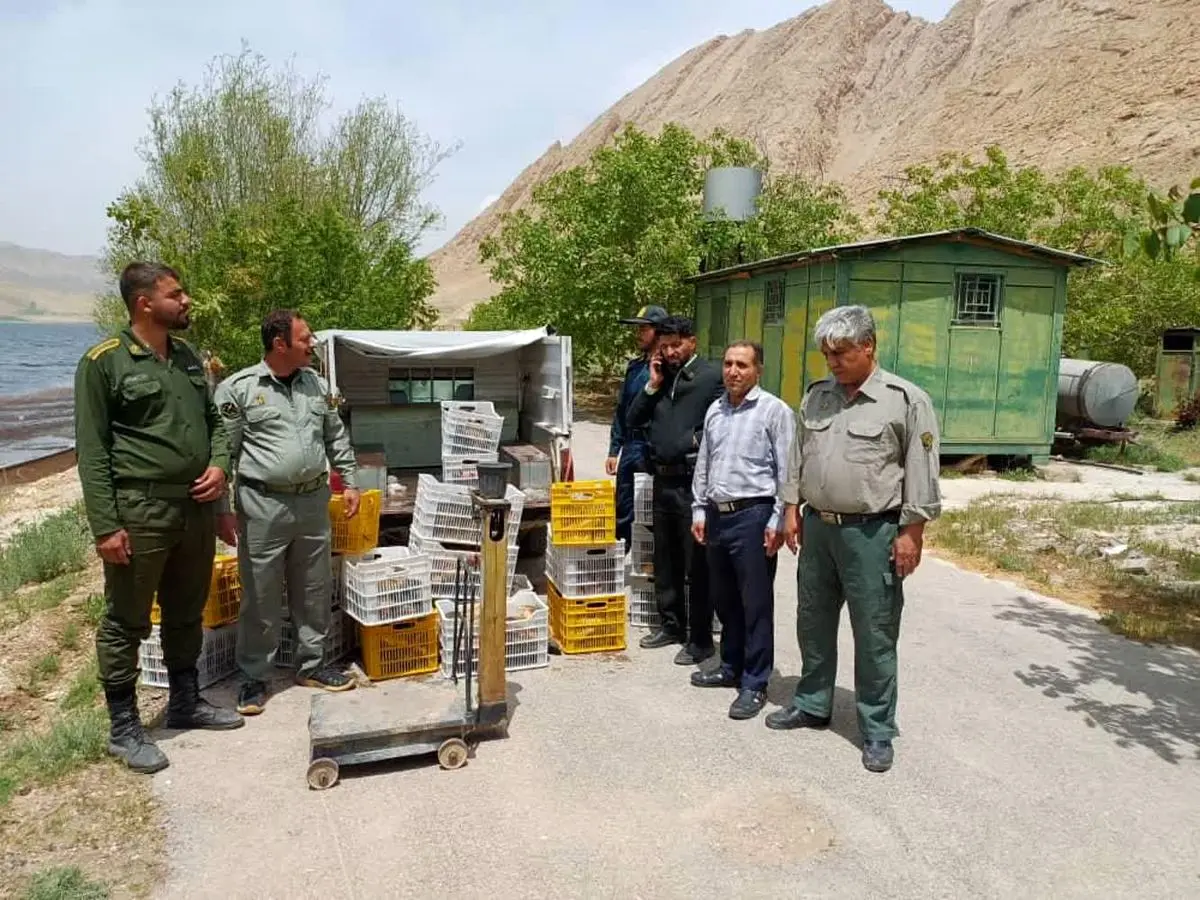 کشف و ضبط ۴۰۰ کیلوگرم ماهی صید غیرمجاز در تالاب چغاخور