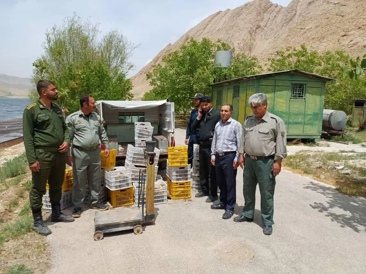 کشف و ضبط ۴۰۰ کیلوگرم ماهی صید غیرمجاز در تالاب چغاخور  