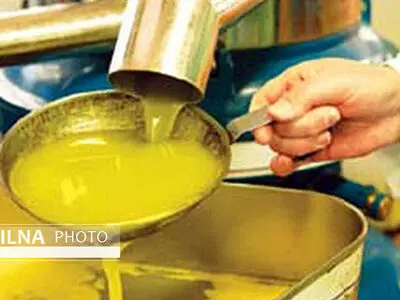 پویش ملی تغذیه سالم در استان البرز آغاز شد