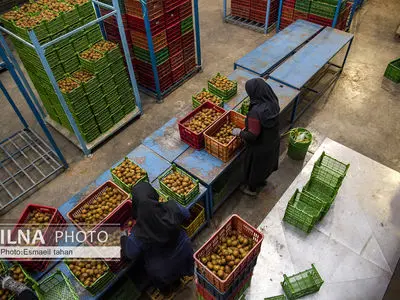 بیانیه «WFTU» به مناسبت روز جهانی مبارزه با خشونت علیه زنان کارگر