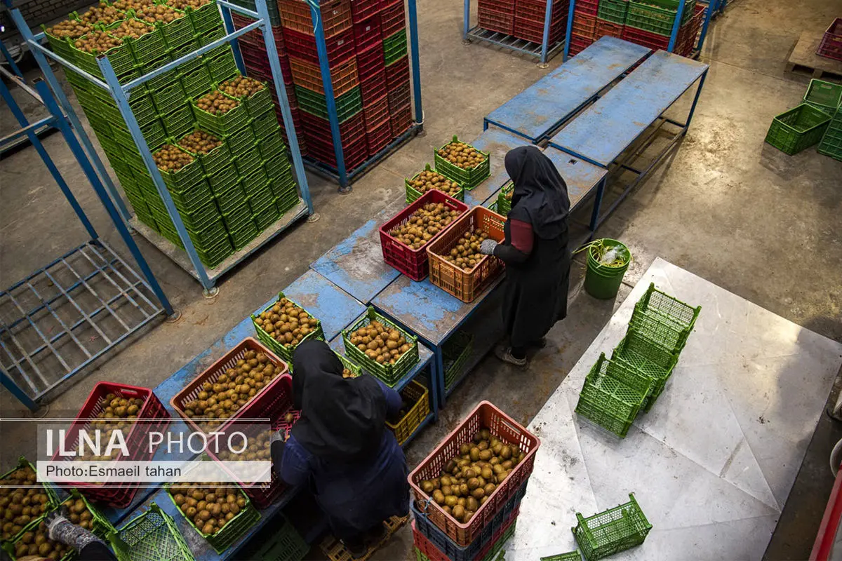 بیانیه «WFTU» به مناسبت روز جهانی مبارزه با خشونت علیه زنان کارگر