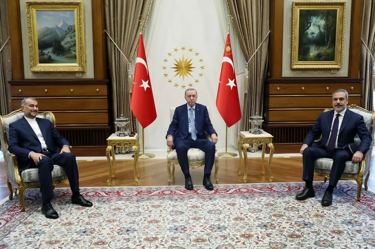 Iran FM, Turkish president discuss Gaza developments