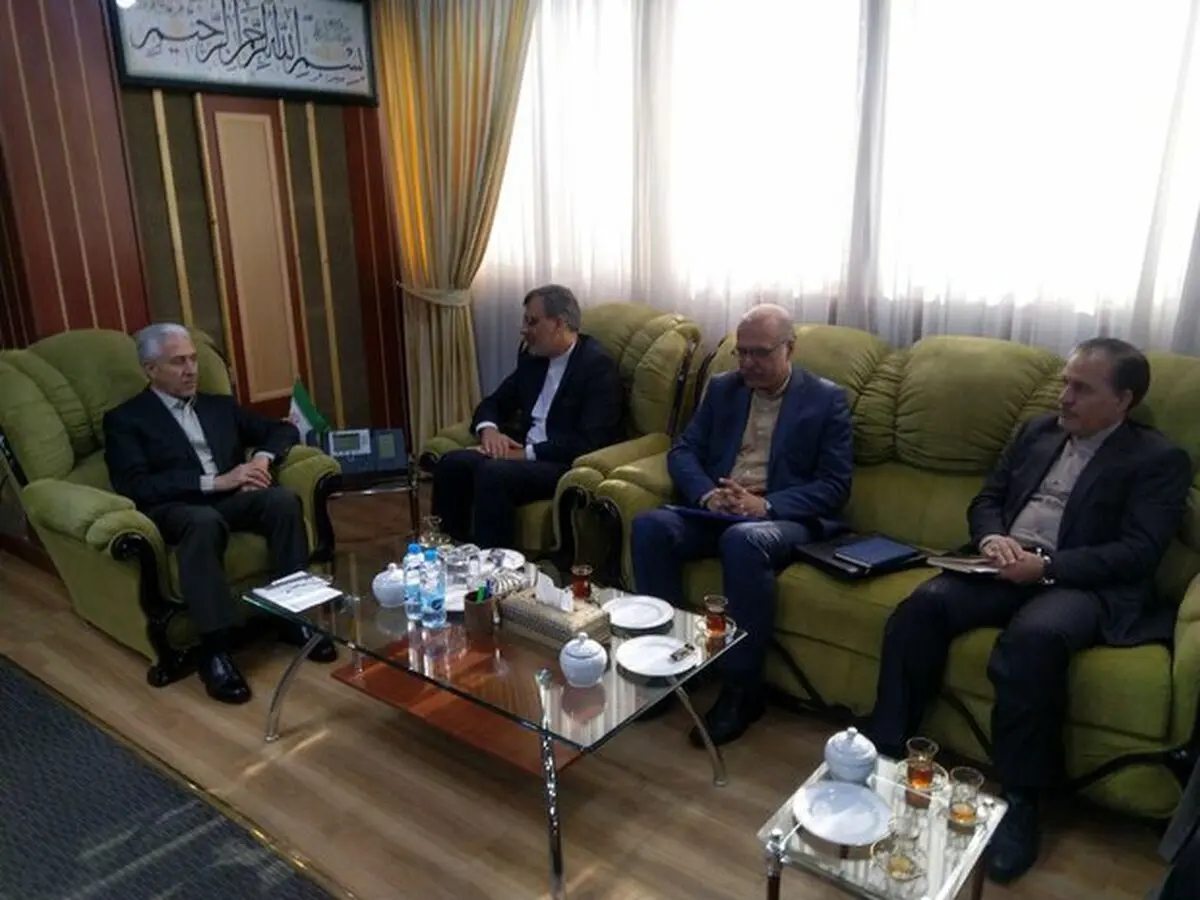 رایزنی برای فعال‌سازی کارگروه علمی و آموزشی شورای عالی ایرانیان