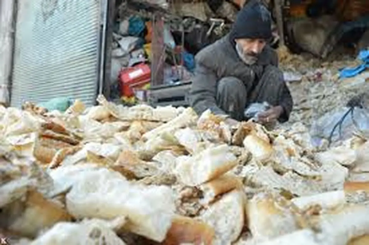 ساماندهی تفکیک کنندگان غیر مجاز پسماندهای خشک در تبریز