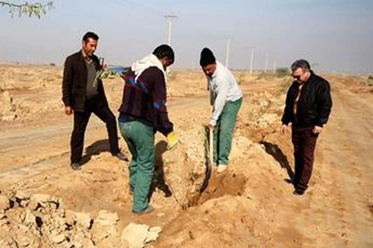 نهال کاری در ۱۵۰۰ هکتار از اراضی لرستان