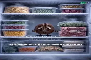 چند ترفند کاربردی برای نگهداری مواد غذایی در یخچال+ فیلم