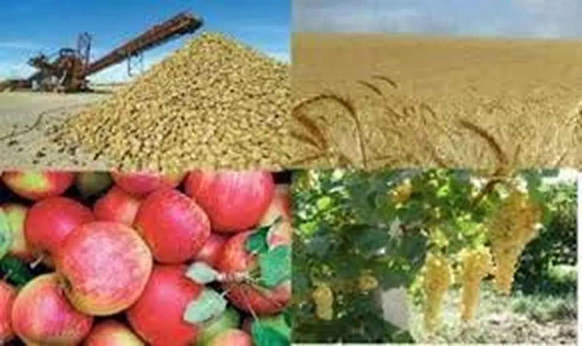 ارزش ۲۰۰ هزار میلیاردی تولیدات بخش کشاورزی استان همدان 