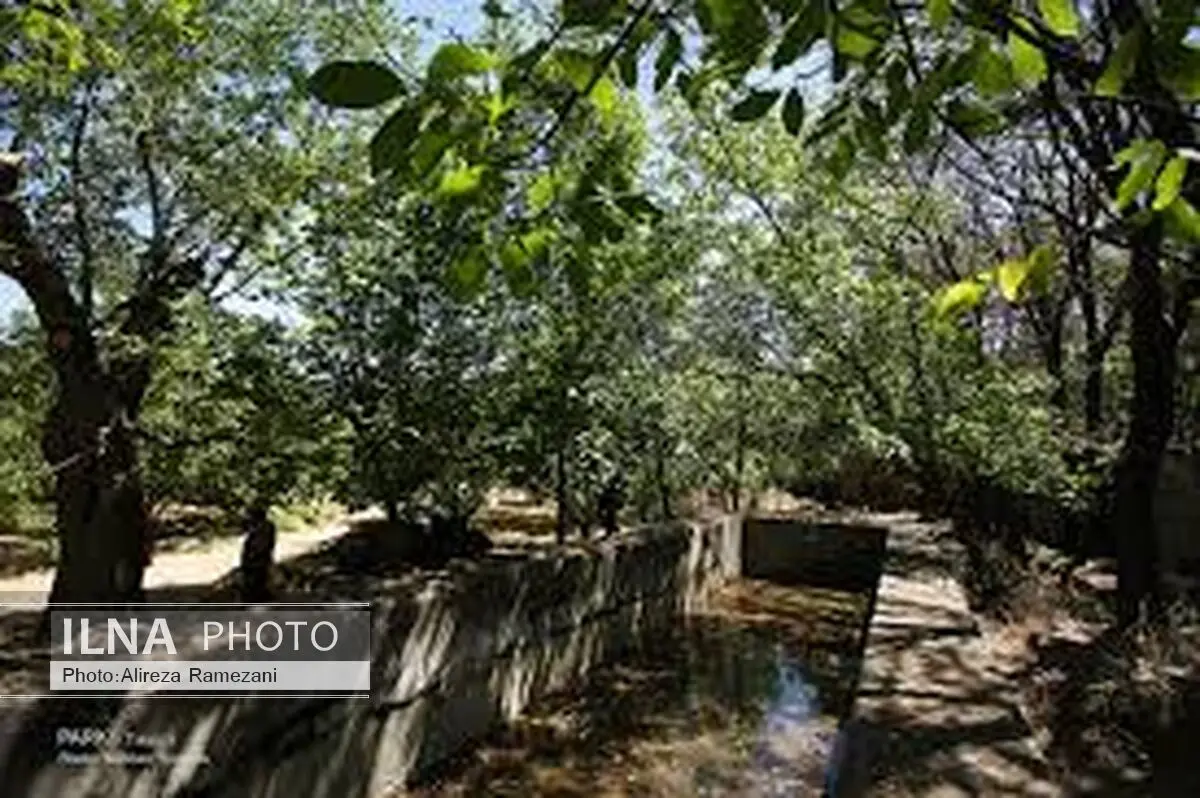"باغ امامی" تبریز به عنوان یک پروژه طلایی تملک شد