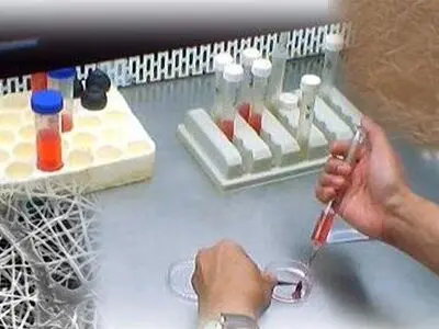 ارائه خدمات آزمایشگاهی و تحقیقاتی در نمایشگاه دستاوردهای پژوهشی و فناوری کشور