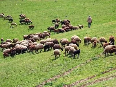 آغاز طرح پایش مراتع میانبند در سرخه
