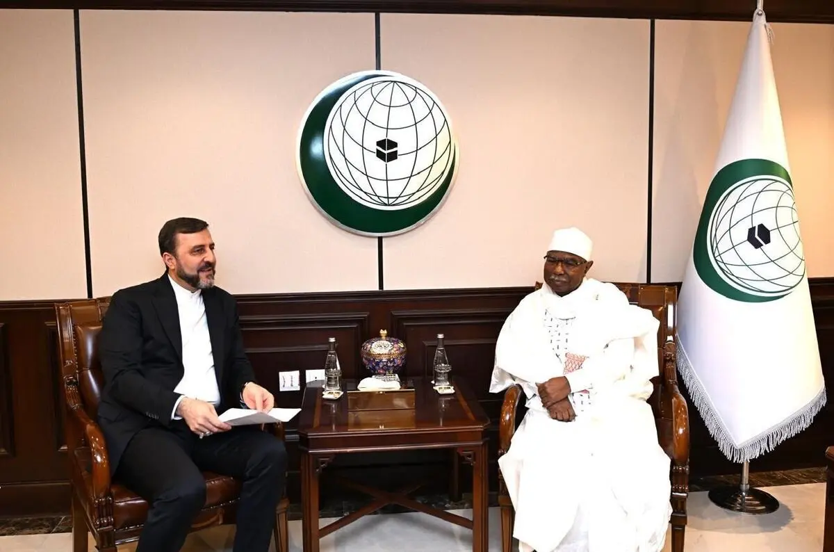 نائب وزير الخارجية الإيراني يلتقي الأمين العام  لمنظمة التعاون الإسلامي