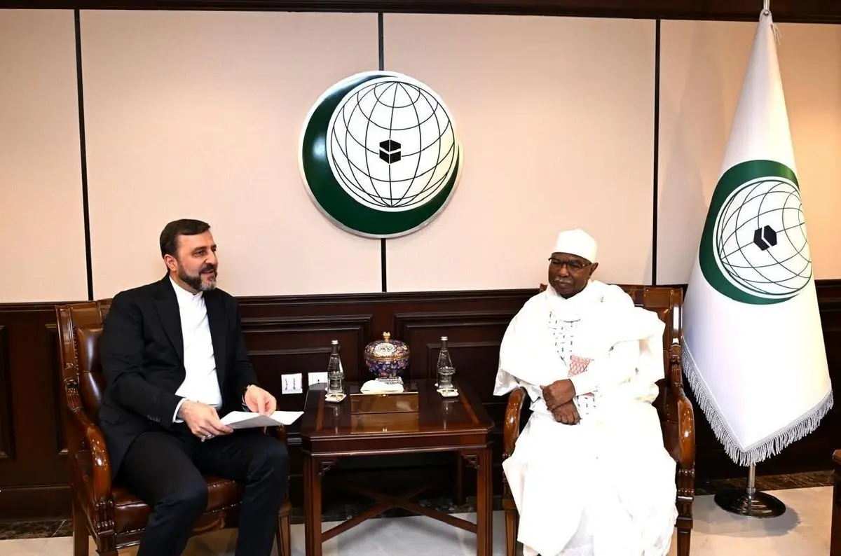 نائب وزير الخارجية الإيراني يلتقي الأمين العام  لمنظمة التعاون الإسلامي