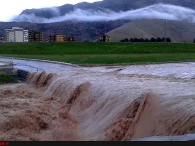 Revitalizing flooded soil needs 100 years; Gorji tells ILNA 