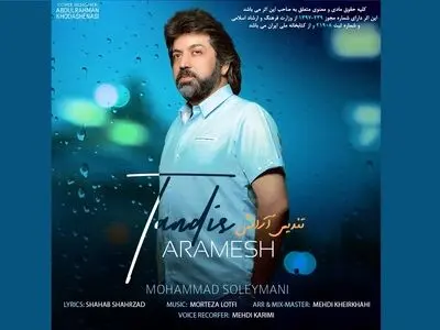 «تندیس آرامش» به موسیقی رسید+صوت