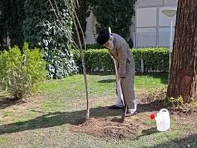 منابع طبیعی سرمایه ملی است 
