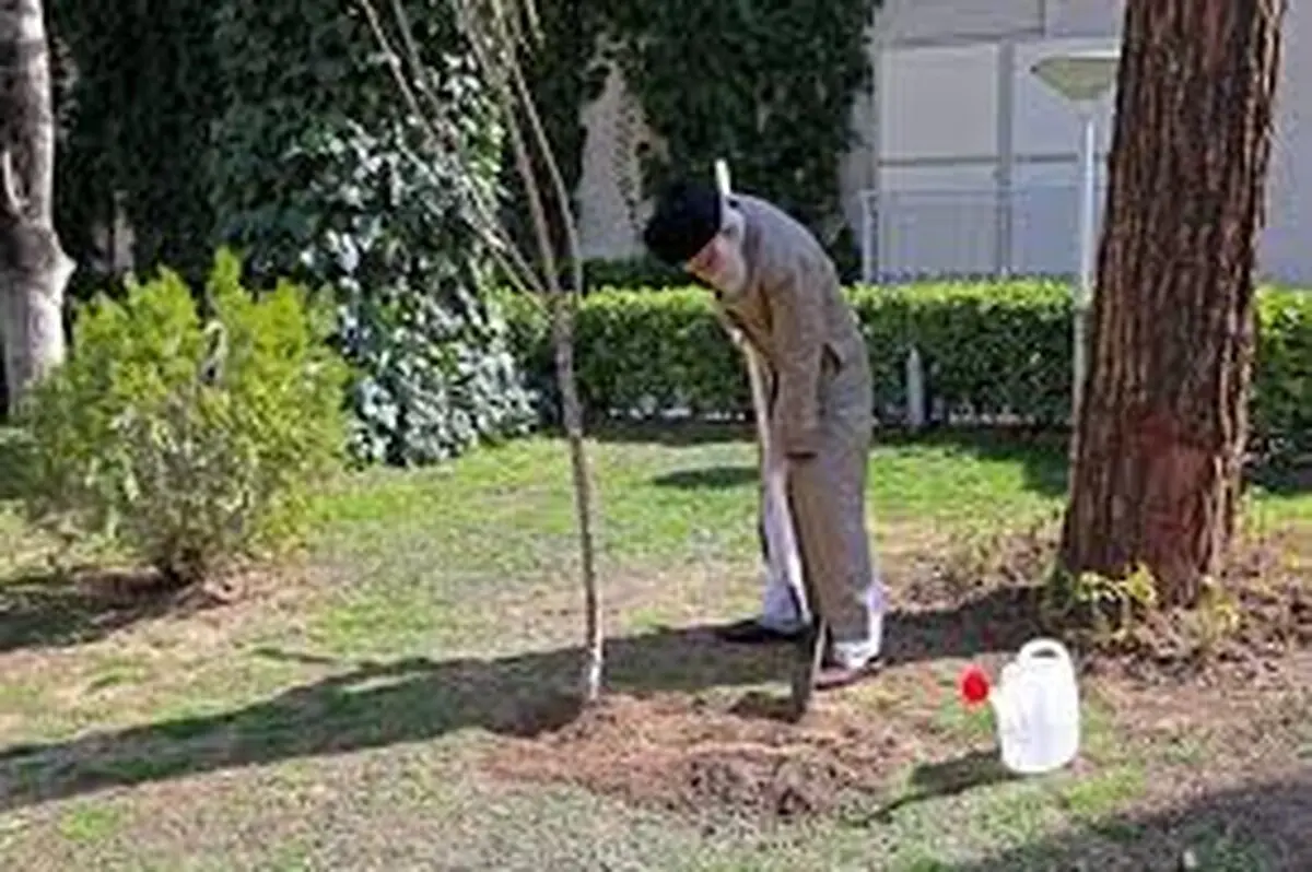 منابع طبیعی سرمایه ملی است 