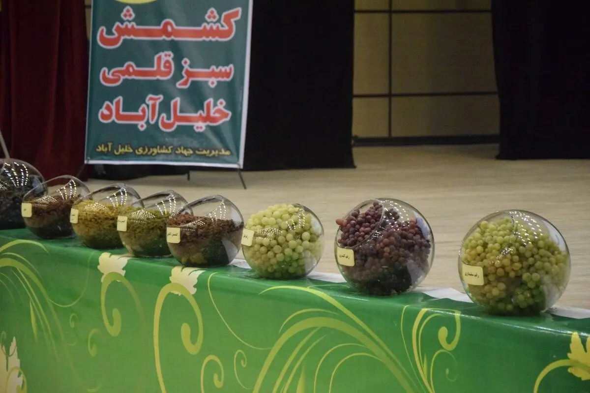 کشمش سبز قلمی خلیل آباد وارد بورس شد