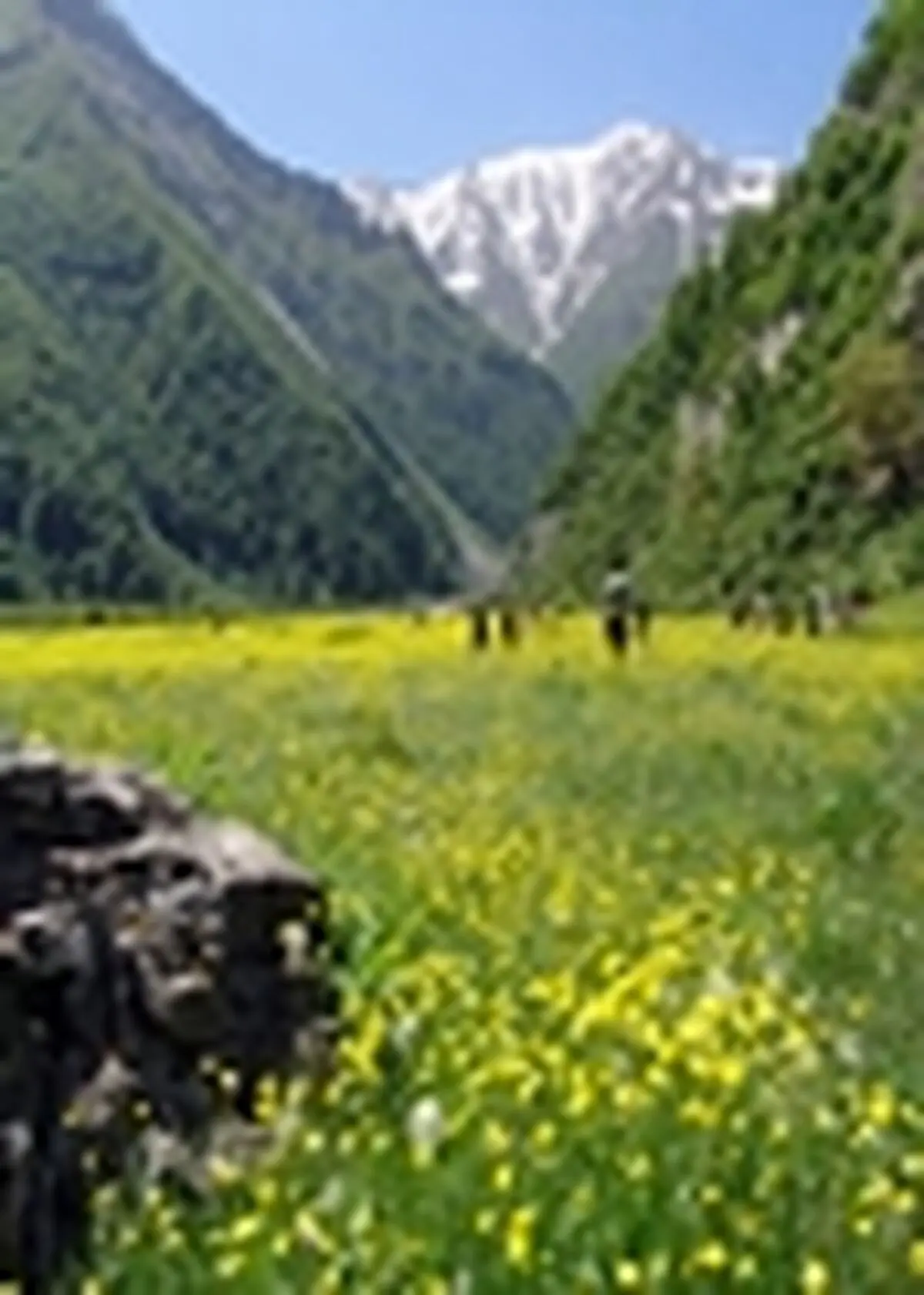 مازندران آخر هفته بارانی است
