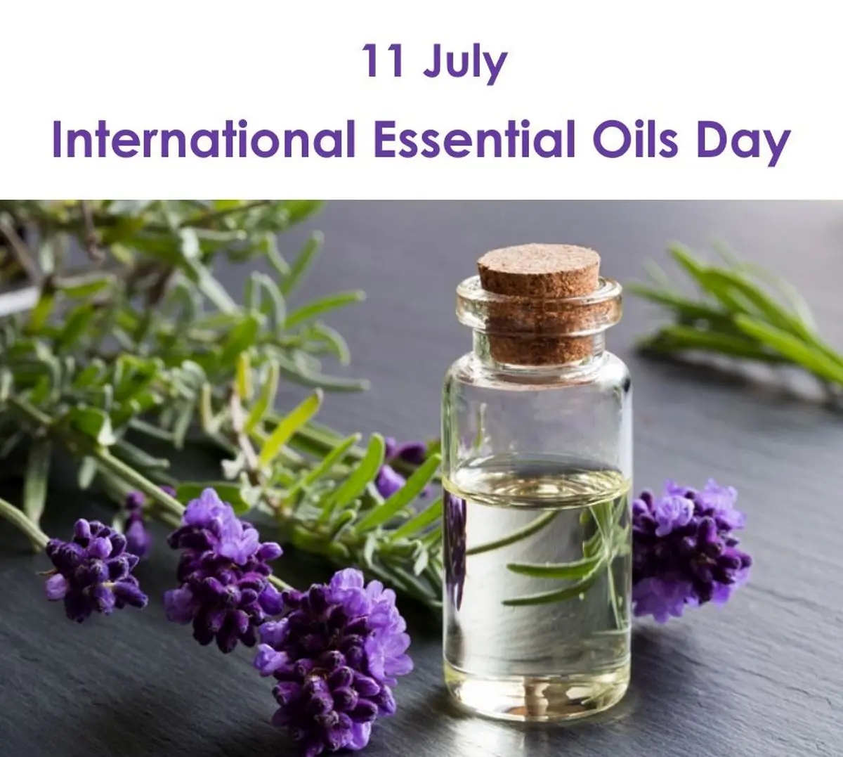 ۱۱ ژوئیه روز جهانی عطر روغنی است