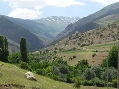 ساماندهی چرای دام در سامانه های عرفی در۱۵۰ هکتار