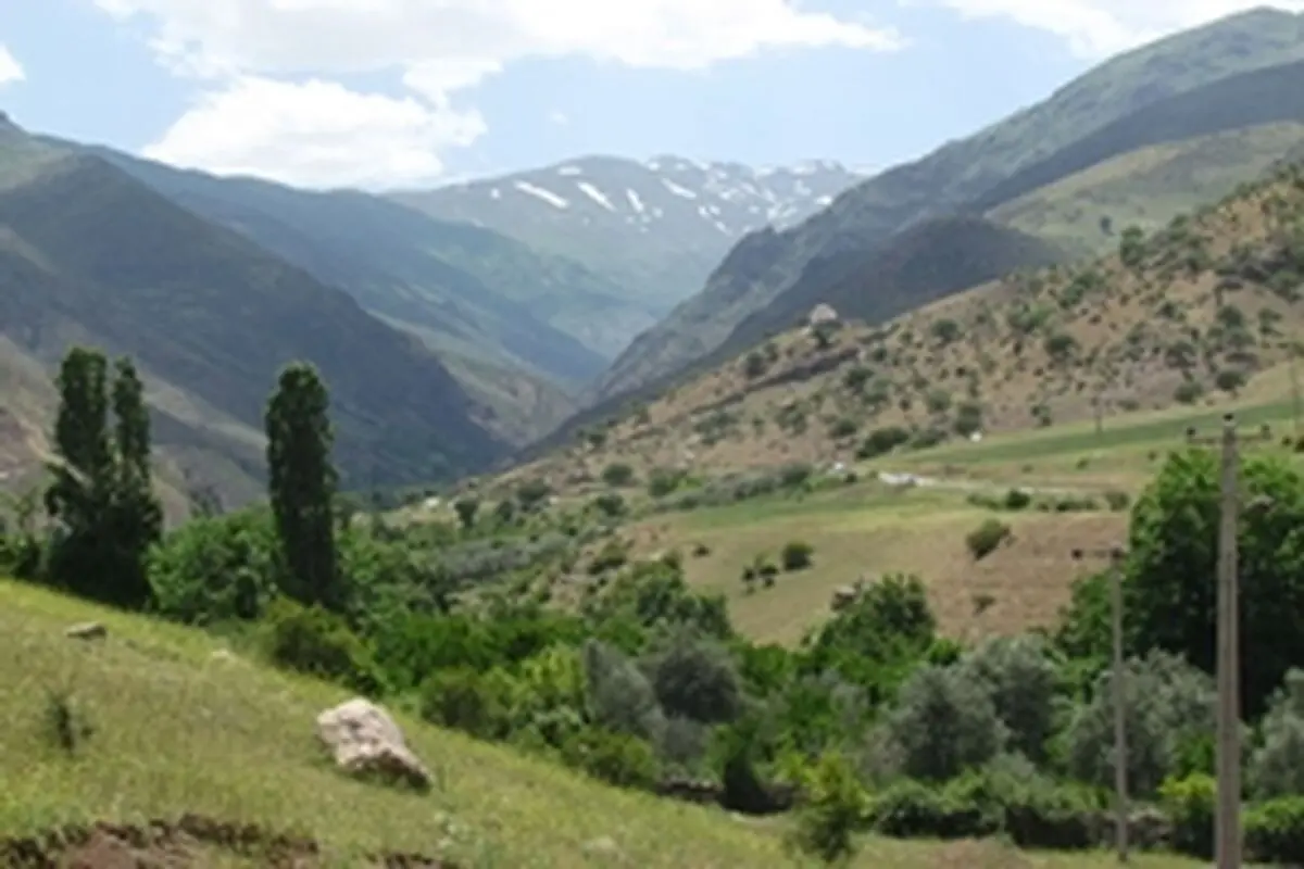 ساماندهی چرای دام در سامانه های عرفی در۱۵۰ هکتار