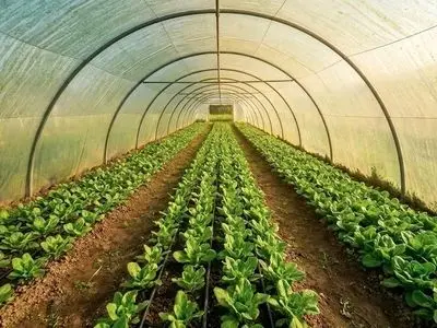 راهنمای کامل خرید تجهیزات گرمایشی و سرمایشی گلخانه برای رسیدن به بالاترین سود