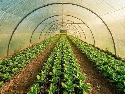 راهنمای کامل خرید تجهیزات گرمایشی و سرمایشی گلخانه برای رسیدن به بالاترین سود
