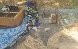 متخلفان صید و زنده‌گیری پرنده سهره در منطقه حفاظت شده هلن بازداشت شدند