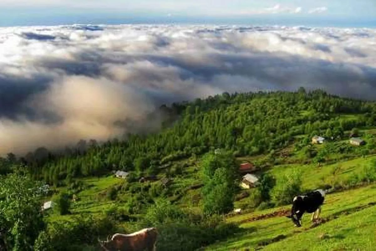 توجه جدی دولت دوازدهم به حفاظت از منابع طبیعی استان‌های شمالی کشور