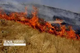 آتش سوزی در اراضی دیم روستای باغموری و اراضی منابع طبیعی ازنا