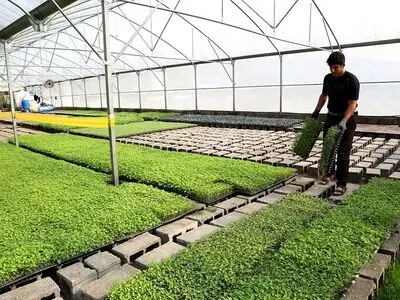 شهرک‌های شیلاتی و گلخانه‌ای در قزوین ایجاد می‌شود