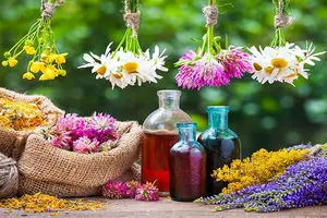 بحران کم‌آبی و ضرورت کشت گیاهان دارویی / مهمترین چالش نوسانات ارزی و محدودیت اعتبارات است