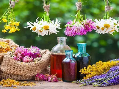 بحران کم‌آبی و ضرورت کشت گیاهان دارویی / مهمترین چالش، نوسانات ارزی و محدودیت اعتبارات است
